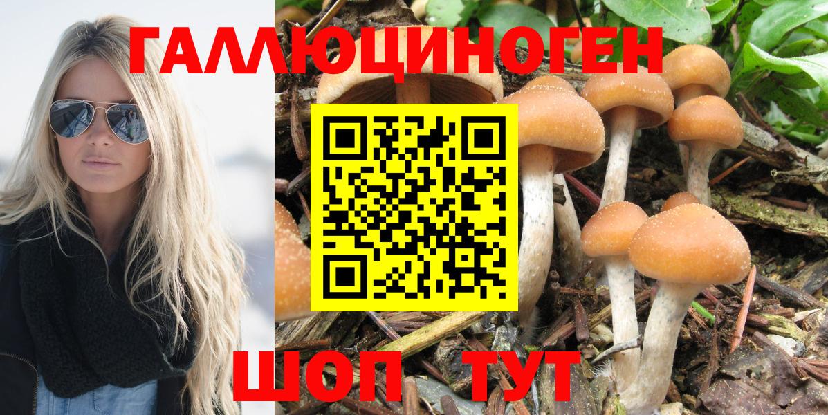 Псилоцибиновые грибы MAGIC MUSHROOMS  Вход с VPN  Котельники  Псилоцибиновые грибы MAGIC MUSHROOMS 