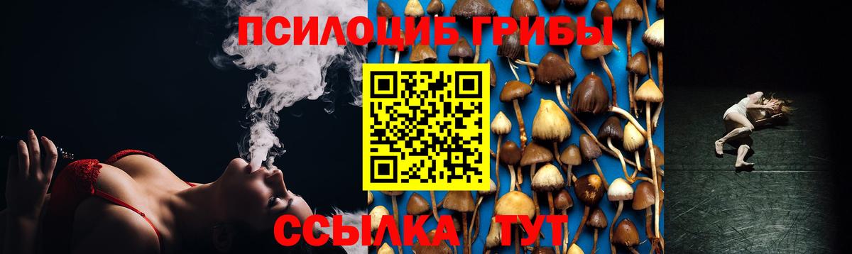 Галлюциногенные грибы Psilocybe Котельники